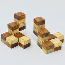 Load image into Gallery viewer, Fraternal Twins