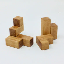 Load image into Gallery viewer, Fraternal Twins