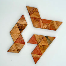 Load image into Gallery viewer, Where has Polly Gone?