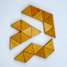 Load image into Gallery viewer, Where has Polly Gone?