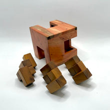 Load image into Gallery viewer, Cubed Worms - IPP Design Contest Entry